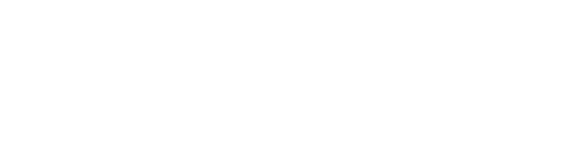 logo Feidt Element